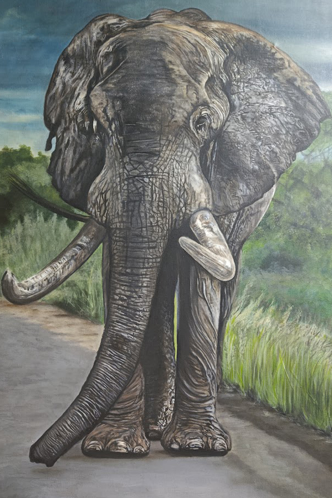 Illustration 14